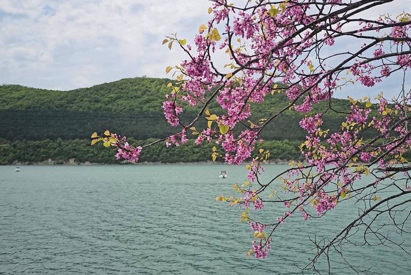 Геленджик — уютный курорт для поездки на море